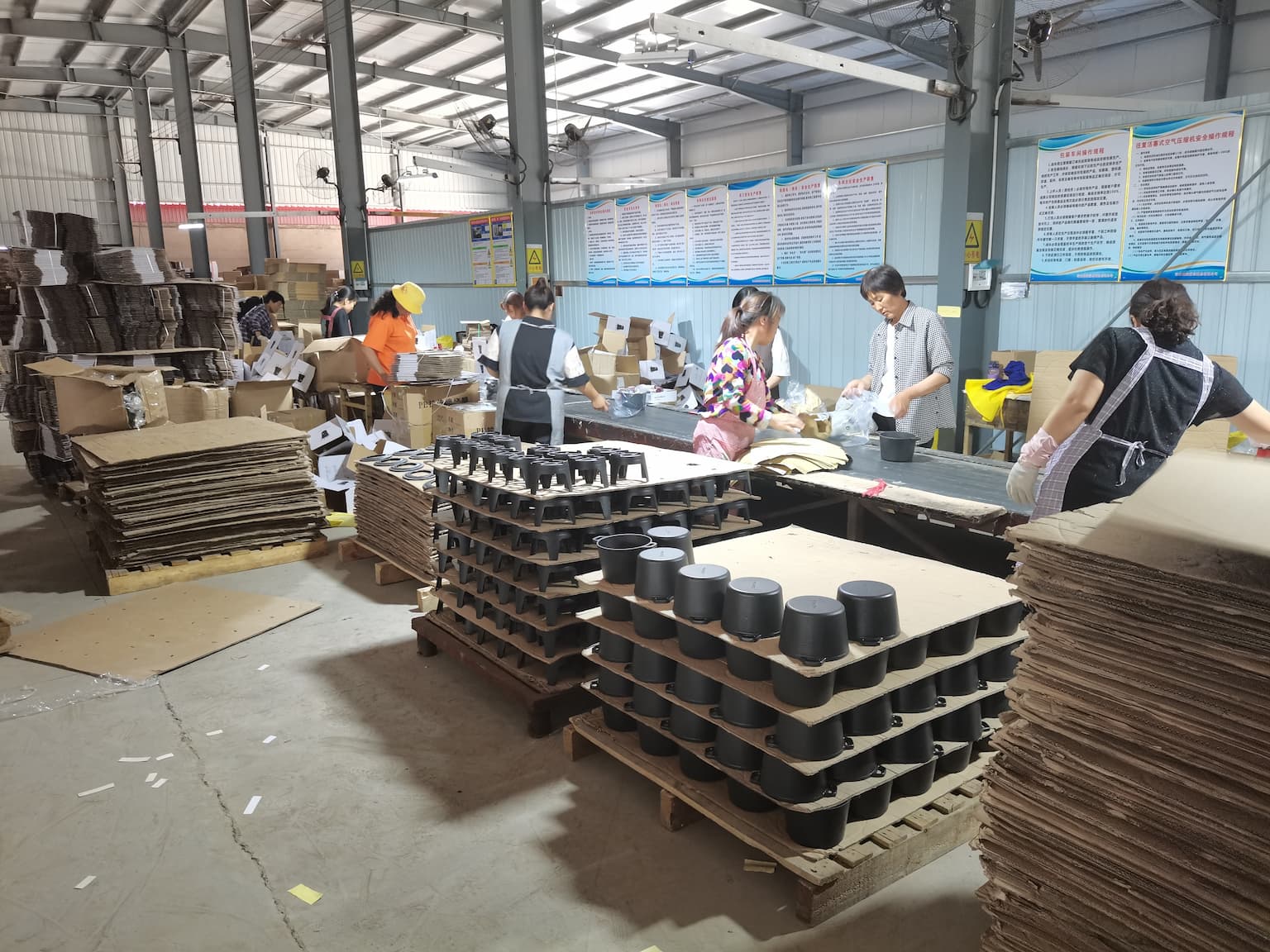 Packing Production Line